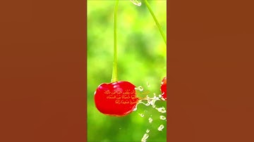 سورة الكهف اية 40 - بصوت جميل - فَعَسَى رَبِّي أَن يُؤْتِيَنِ خَيْرًا