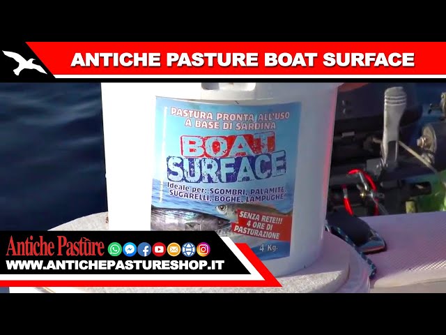 Pastura Pesca In Mare Antiche Pasture Alta Marea Cozza-bibi 1kg ANTICHE PASTURE