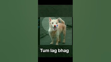 DragGAN AI: Photo Editing Ka Baap आ गया! 😲🔥🤖