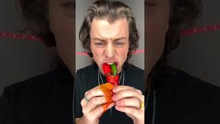 Y Devils Pepper Vs My Stomach