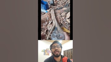 Greedy people , Best funny video 😂 #shorts #viralvideo #comedy