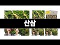 산삼 추천 BEST 3  식품 올해인기상품