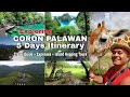 Coron palawan  ultimate travel guide from manila to coron  expenses  island tours
