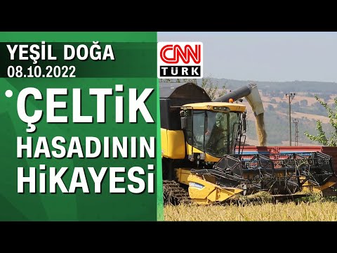 Balıkesir'deki çeltik hasadının hikayesi - Yeşil Doğa 08.10.2022 Balıkesir çeltik hasadı