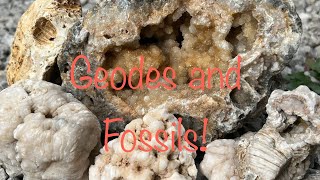 Missouri creek Rockhounding for geodes agates and fossils I found plume agate geodes!