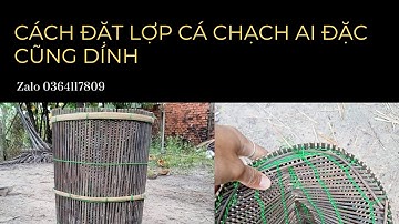 Cách đặt lợp cá chạch xem là đảm bảo dính 100% #cachdatlopcachach