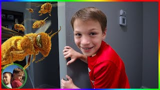 Chase & Shawn Escape Mysterious Super Villain Bug Attack! | Steel Kids