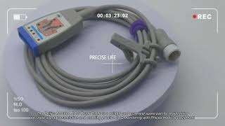 PH M1668A ECG trunk cable 989803145061 ECG trunk cable with 12pin connector