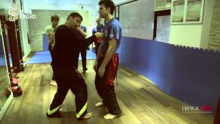 The One Inch punch by Sifu Sergio
