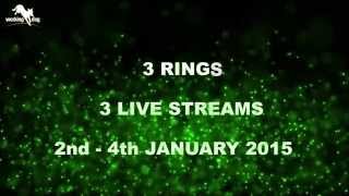 B.a.c.k. 2015 02.-04.01.2015 Agility Live