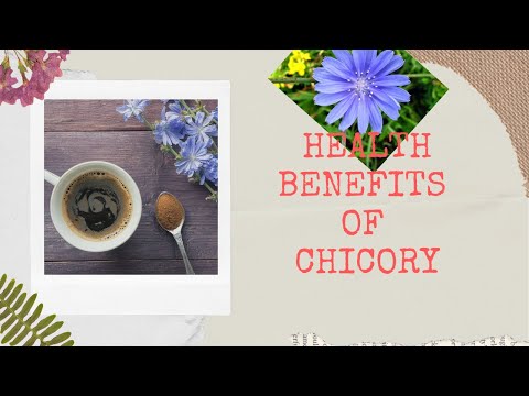 Health Benefits of Chicory