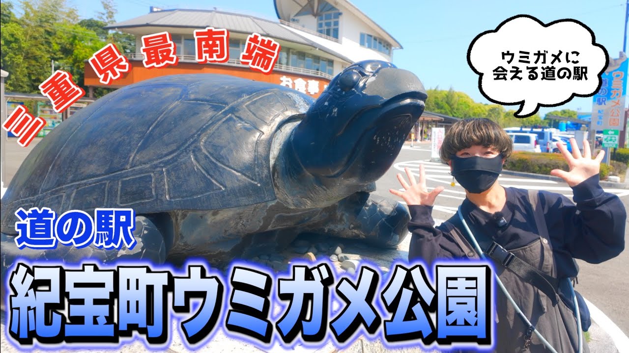 【三重】可愛いウミガメ達に会える！三重県最南端の道の駅、紀宝町ウミガメ公園
