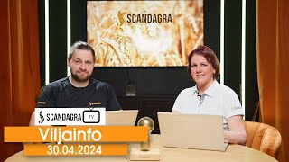 Scandagra VILJAINFO 30.04.2024