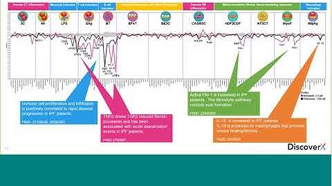 Combining Target Based and Phenotypic Discovery Assays for Drug Repurposing