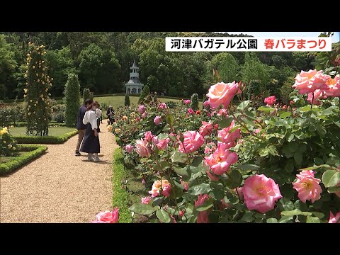 河津バガテル公園 春バラまつり 静岡県 Youtube