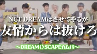 相変わらずオーディオが重なりまくるドリムのカムバ　【NCT DREAM/日本語字幕】