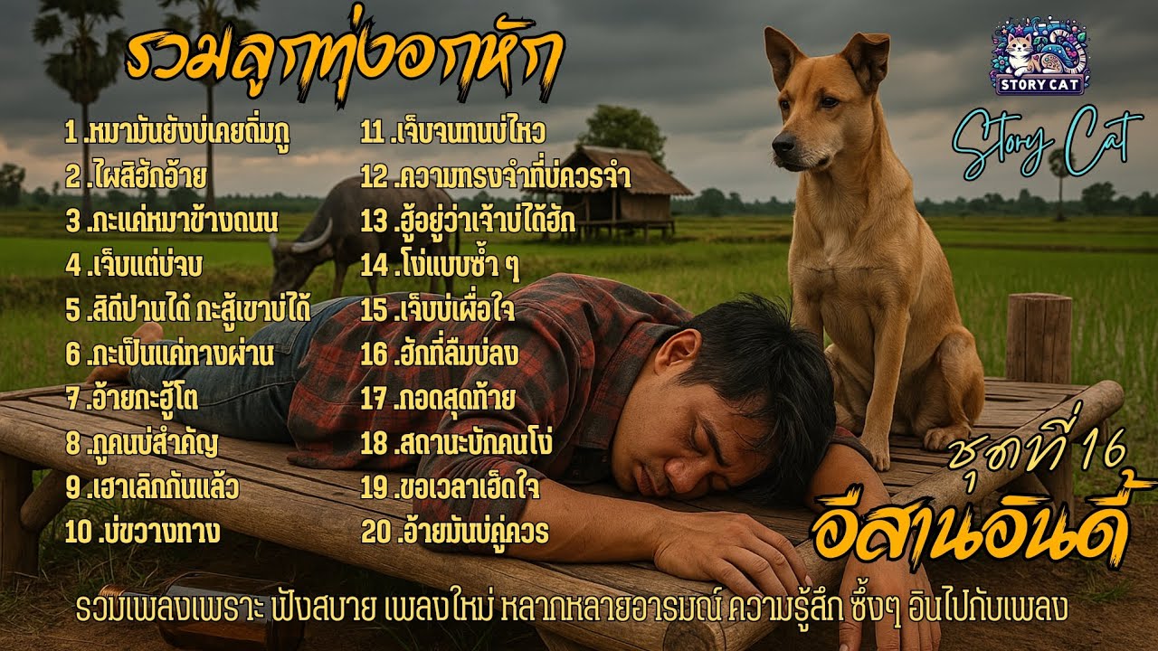 รวมลูกทุ่งอกหัก 💥อีสานอินดี้💥 เพลงแนวอกหักกระแทกอารมณ์ :  Story cat