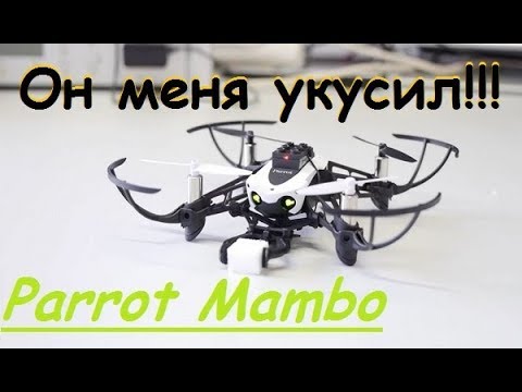 Необычный квадрокоптер Parrot Mambo  Распаковка и облёт