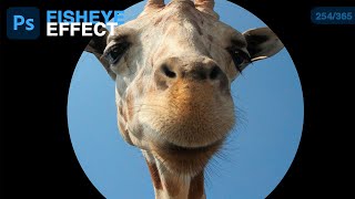 Fisheye Effect in Photoshop screenshot 2