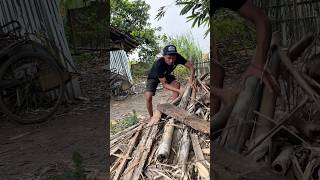 Di balik tumpukan kayu ternyata ada ular besar mau bertelur #shortsfeed #shortvideo #snek