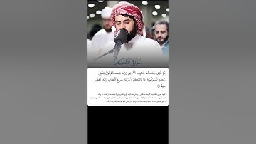 شيخ رعد الكردي حالات واتس اب | سورة (الأنعام: ١٦٤)