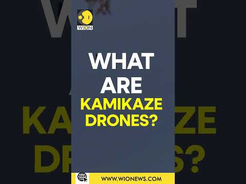 What are Kamikaze Drones? | WION Shorts