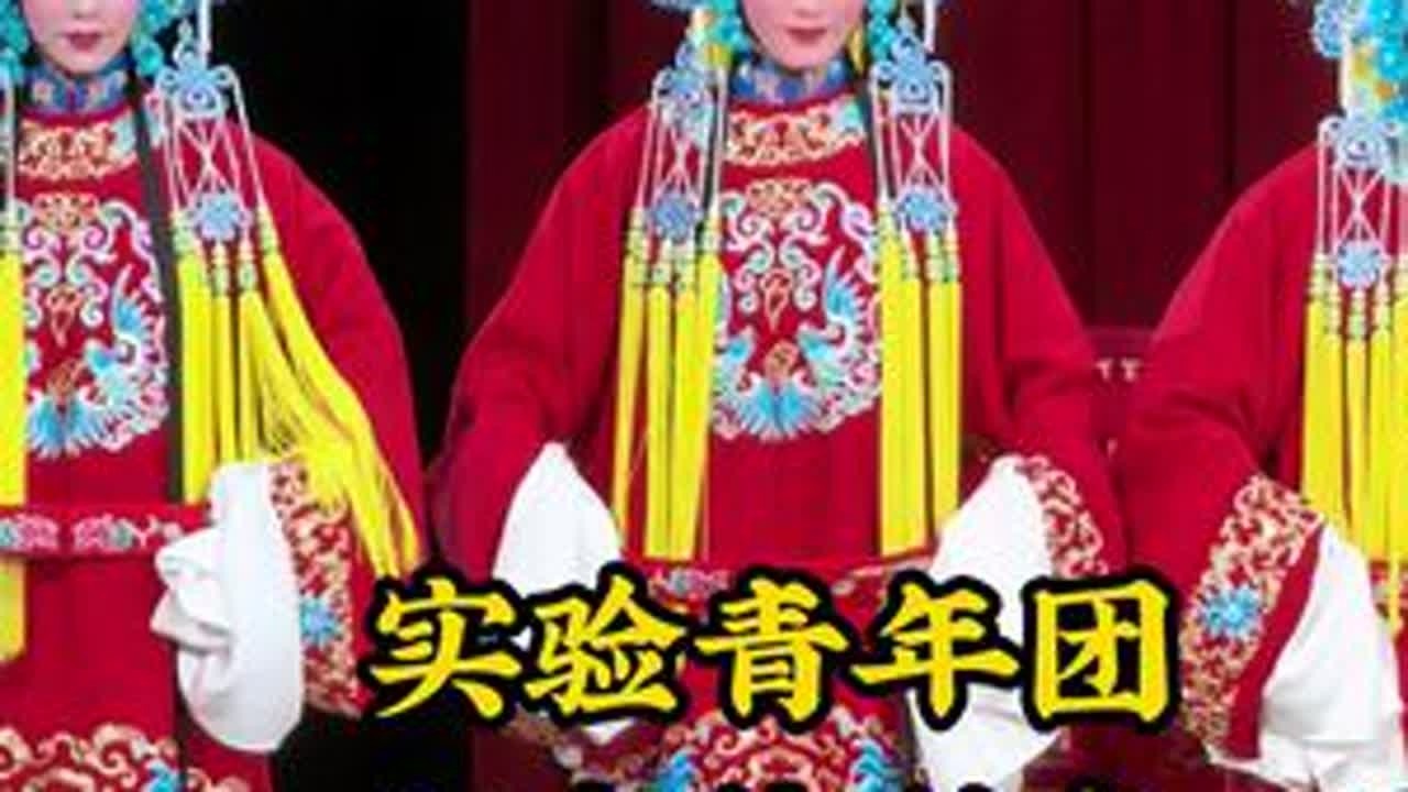 实验青年团拜寿旦