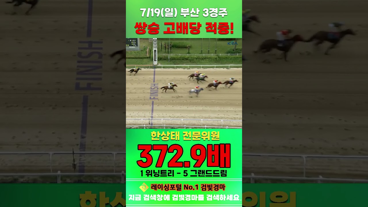 [부산 경마] 7월 19일 일요 3경주 한상태 전문위원 쌍승 고배당 적중 #한국마사회 #horse #하이라이트 #automobile #경마 #smartphone #뉴스 #게임
