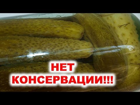 Когда нельзя консервировать, квасить плоды и ягоды в сентябре 2019 года? Лучшие дни для заготовок