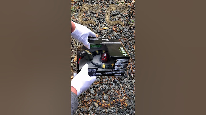 RC Snake 🐍 Remote Control Unboxing! #snake #shorts #rc #remotecontrol #snakes