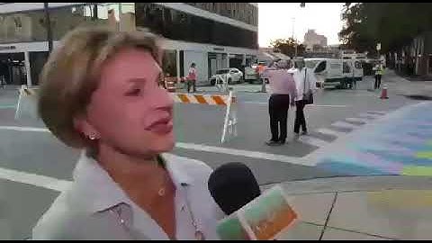 Ninoska Huerta Gallery -  Chromatic crossroads by Carlos Cruz-Diez in Coral Gables.