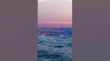 سورة البقرة اية 157 - مع صوت البحر بصوت جميل - أُوْلَئِكَ عَلَيْهِمْ صَلَوَاتٌ مِّن رَّبِّهِمْ