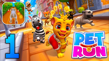 Pet Run - Puppy Dog Game Gameplay Walkthrough Part 1 (iOS, Android)