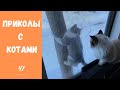 Смешные КОТЫ КОТИКИ КОТЯТА Приколы с животными #47