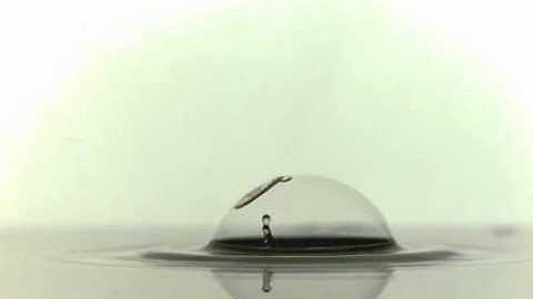 The Marangoni Effect