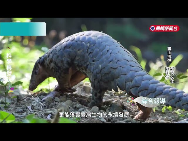 科學再發現—台灣生物多樣性 應落實環境保育－民視新聞