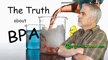 Which plastics are BPA free?