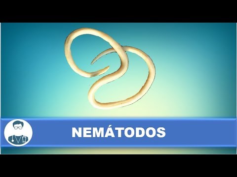 Video: ¿Dónde viven los nematodos?