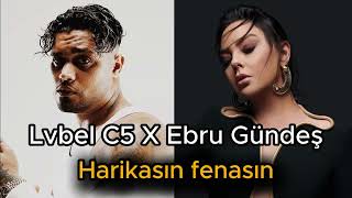Lvbel C5 Ft. Ebru Gündeş - Harikasın Fenasın Mix Prod.dewo417