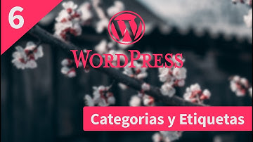 6- Diseñando Categorias y Etiquetas | Cuso de Desarrollo de Temas En WordPress