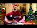 New Year Funny We Wish You a Merry Christmas - Dog playing guitar - Funny Greeting Card