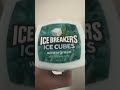 ICEY BREAKERY WINTERGREENY RAPY!!