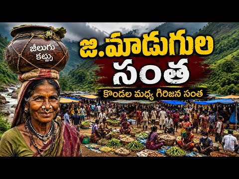 జి. మాడుగుల సంత | కొండల మధ్య జరిగే అద్భుత గిరిజన సంత | Tribal Market of Alluri District