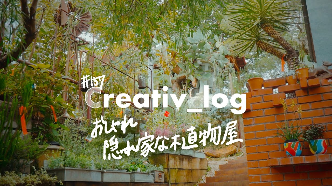 【SOLSO FARM】森の隠れ家的なおしゃれ植物専門店に行ってきたVLOG #157