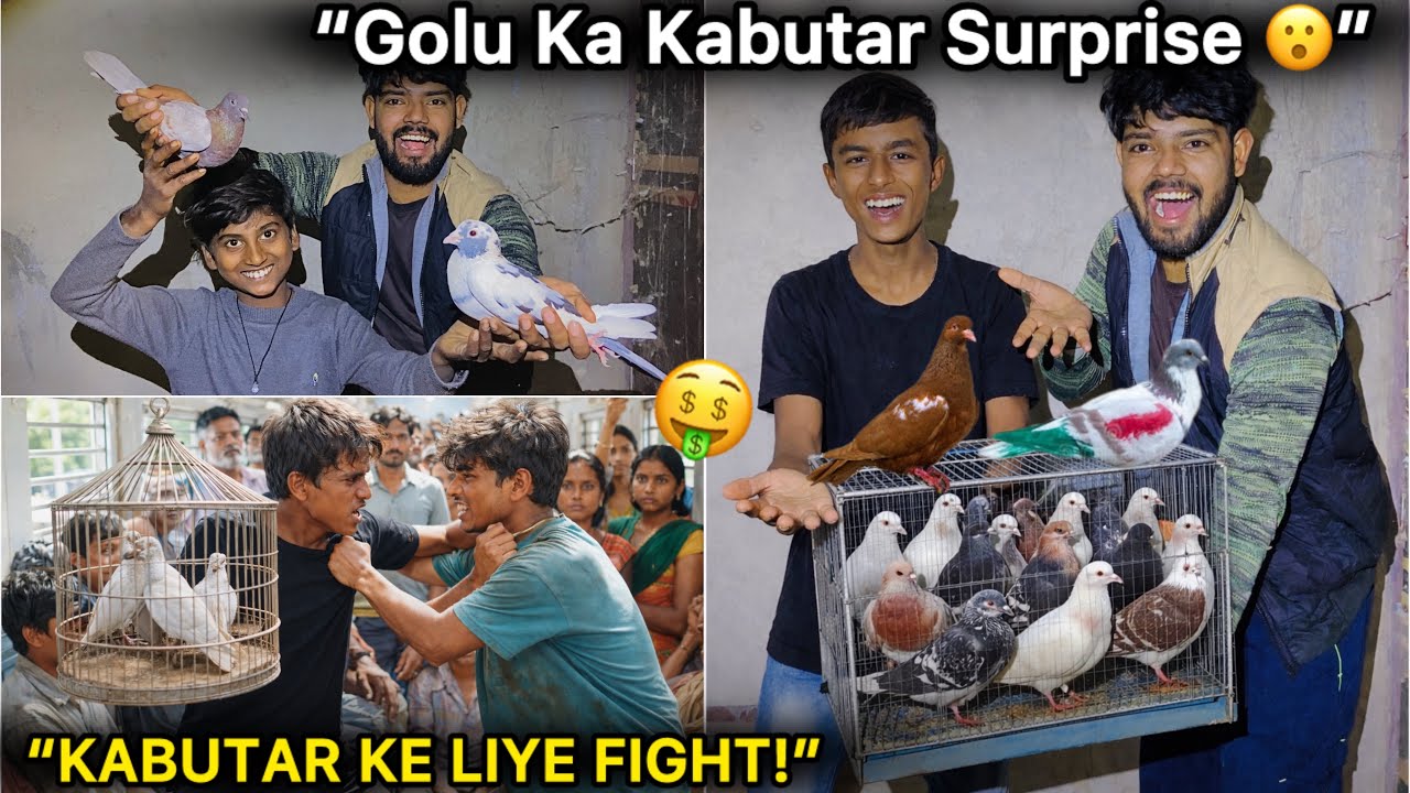 “Golu Laya Bihar Ke Kabutar 🐦” || “Sabse Saste Kabutar!” 🤑