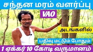 Santhana Maram 1 ஏக்கர் 10 கோடி சந்தன மரம் லாபகரமான மரப்பயிர் நடவு முதல் அறுவடை வரை விளக்கம்