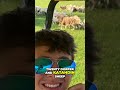 FFA SAE Sheep Farming & Podcast Takes Off!