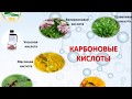 Карбоновые кислоты