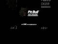 【Pit Bull GPS TRACKER】本日より受注開始‼️|#GPSトラッカー #車両盗難 #盗難対策 #セキュリティ #エーモン