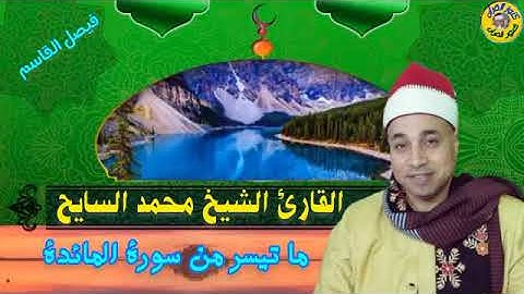 خشوع يسلب العقول للقارئ الشيخ محمد السايح سورة المائدة #القرآن_الكريم كنوز_القرآن #المنشاوي
